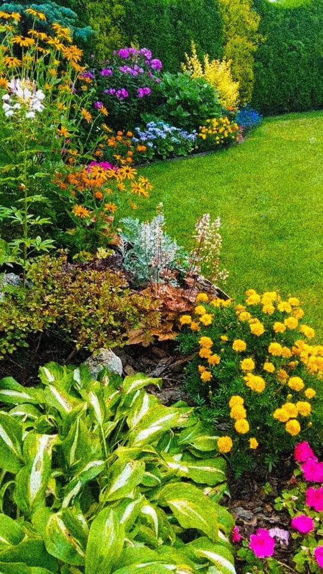 Multicolored Garden Layered Beauty