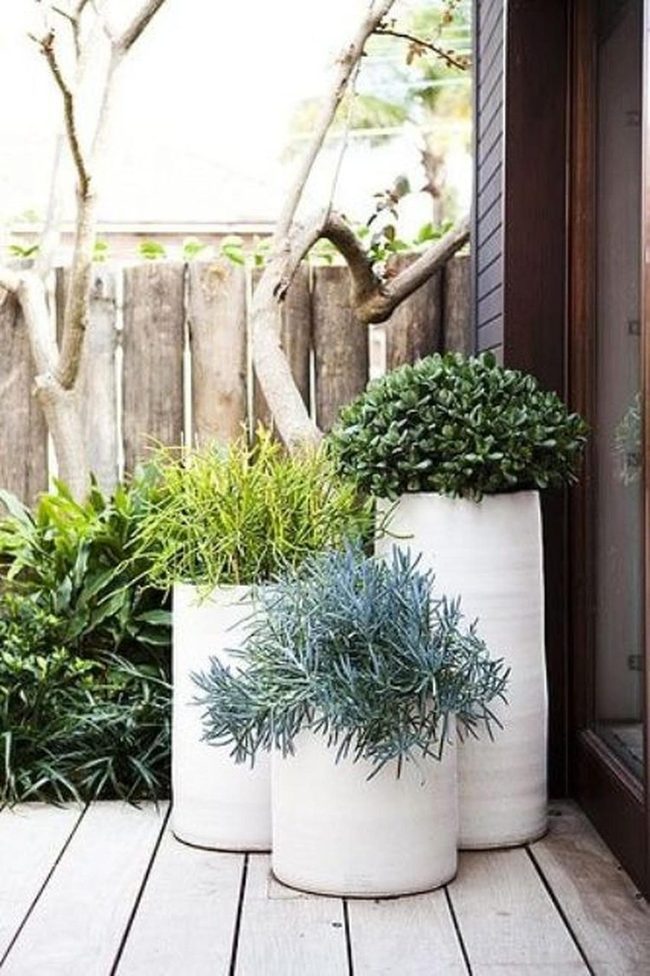 Three White Pots, Living Green Indoors