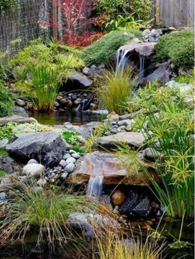Red Leaves, Flowing Water Garden