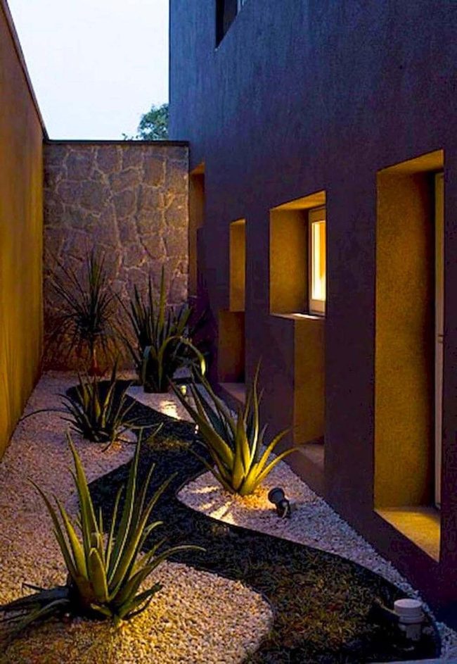 Moonlit Agave Desert Architecture