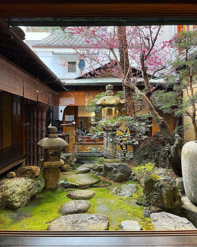 Stones Water Plants Meditation Space