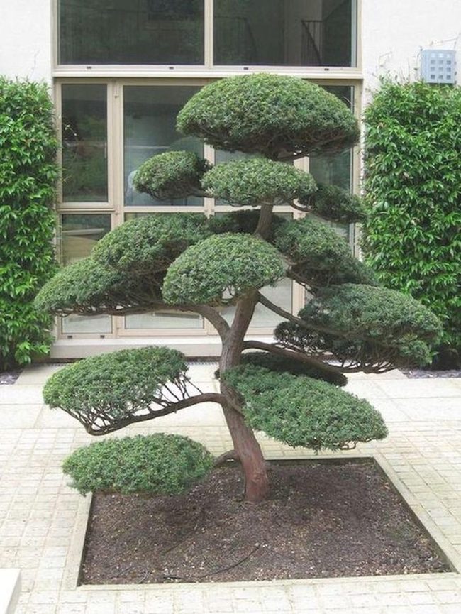Symmetrical Green Garden Stone