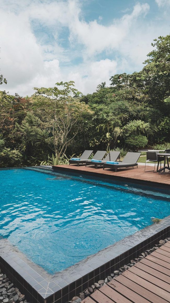 Organic Pool Plants Gravel Clean