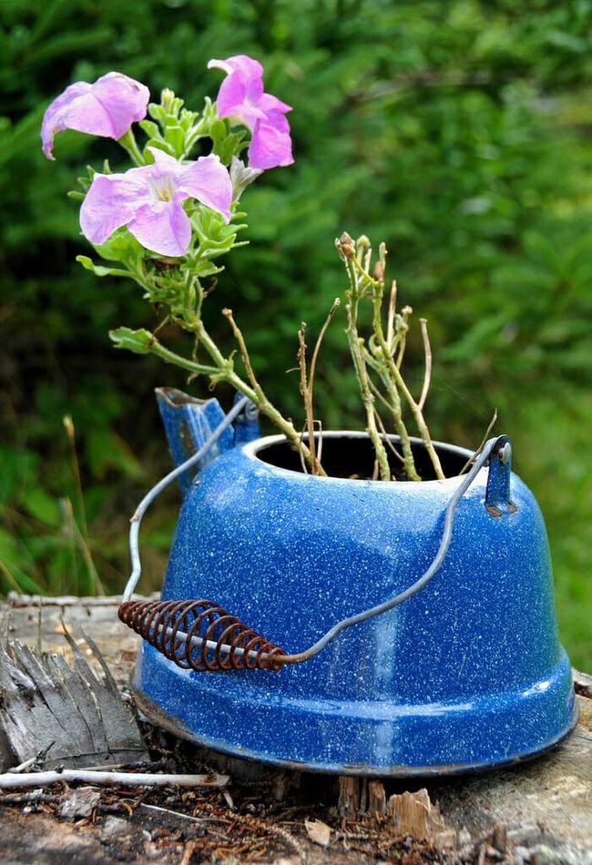 Blue Kettle Flower Planter