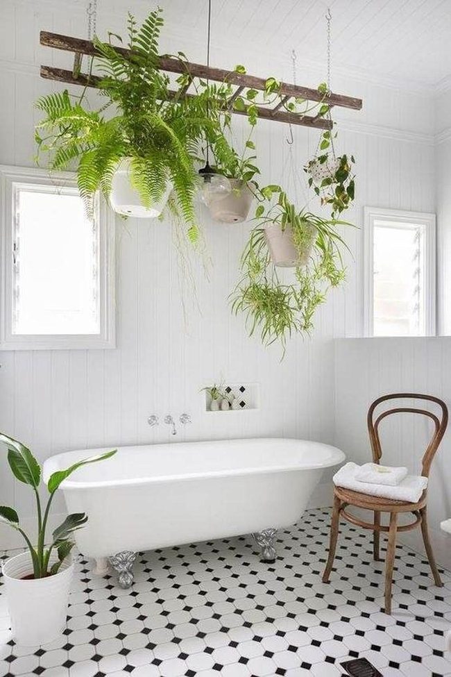 Hanging Greenery Bathroom Spa