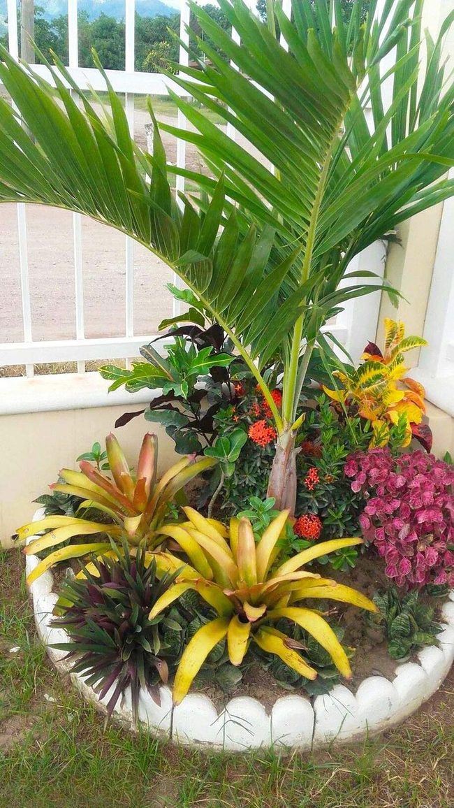 Tropical Corner With Painted Tire Planters