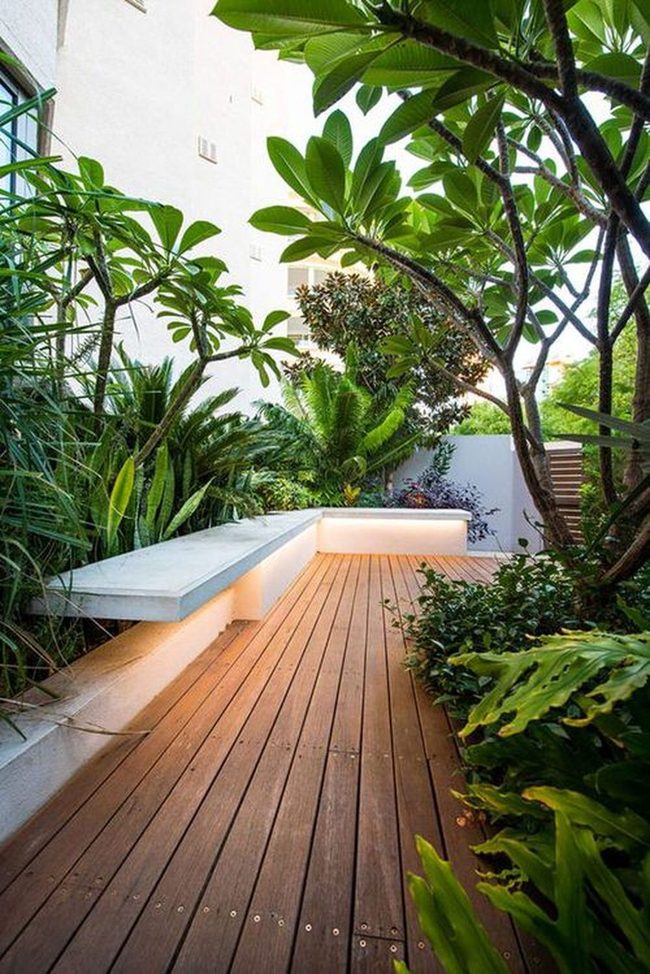 Concrete To Jungle Rooftop