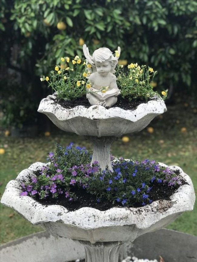 Stone Angel Reading Among Blooms