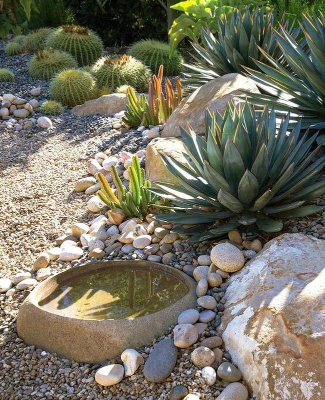 Stone Basin Gravel Garden Oasis
