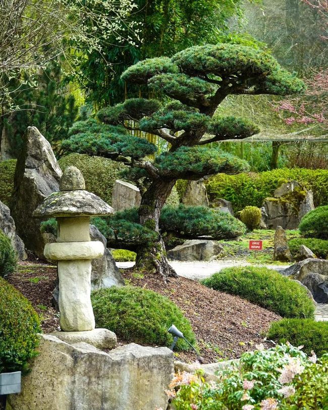 Wooden Sculptures Meeting Soft Lantern Light