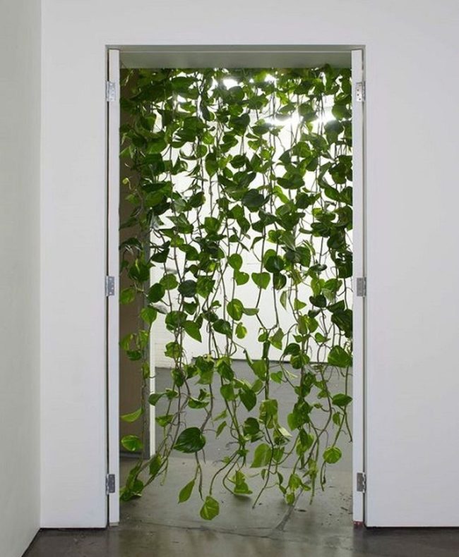 Emerald Vines Frame Your Entry
