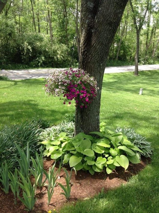 Sunlit Garden Tree With Hanging Flowers