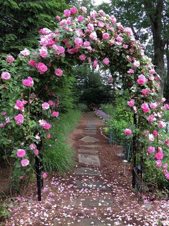Pink Rose Archway Garden Entrance