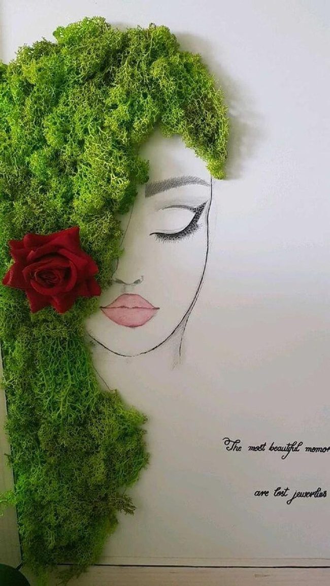 Green Plants Against Bare Walls
