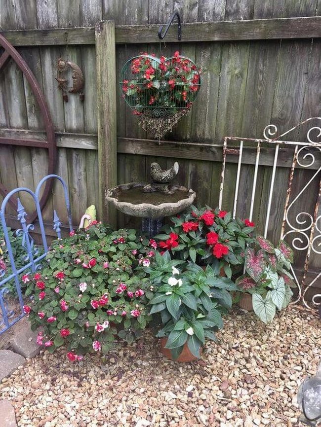 Cascading Greenery Around Birdbath