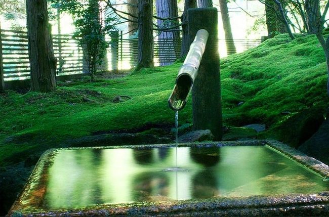 Filtered Sunlight Through Moss And Stone