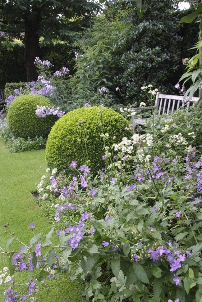 Green Spheres Purple Flowers Garden
