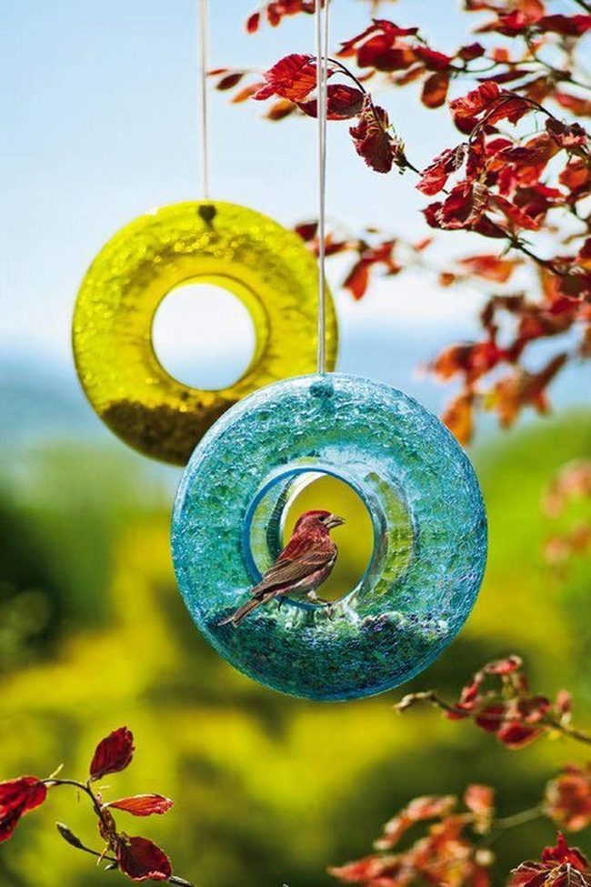 Glass Rings Yellow Blue Garden
