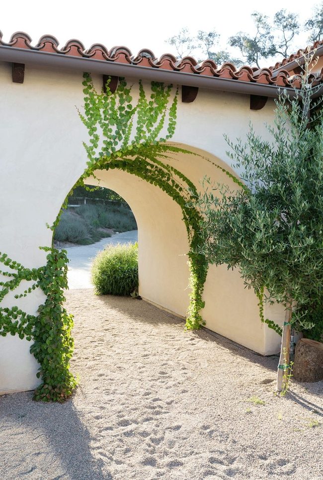 Ivy Arch Entrance Statement
