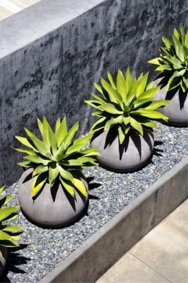 Gray Pots, Vivid Green Plants