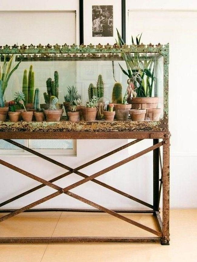 Rust Metal Terrariums With Living Succulents
