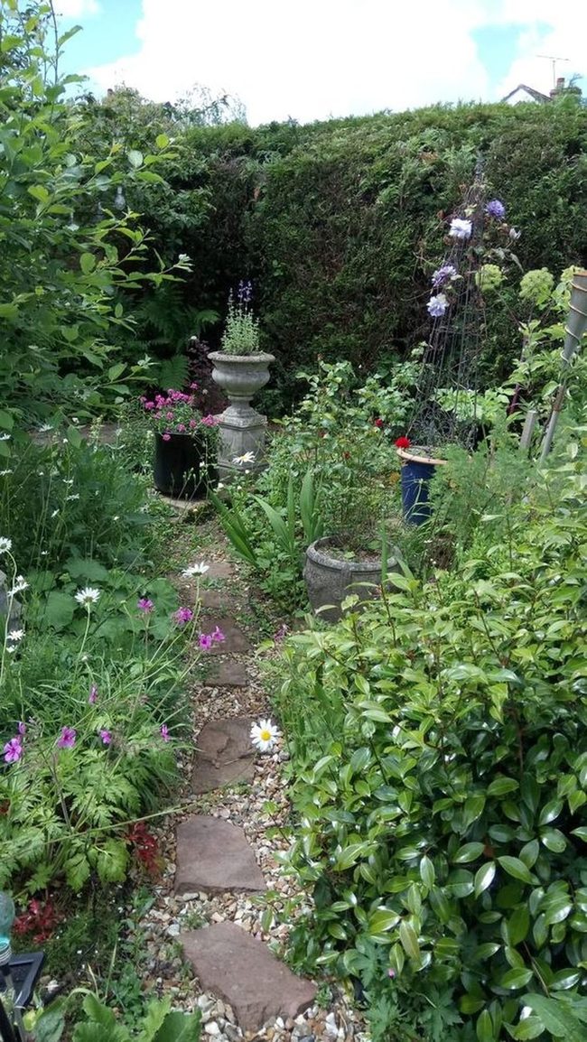 Purple Flowers Garden Pathways Light