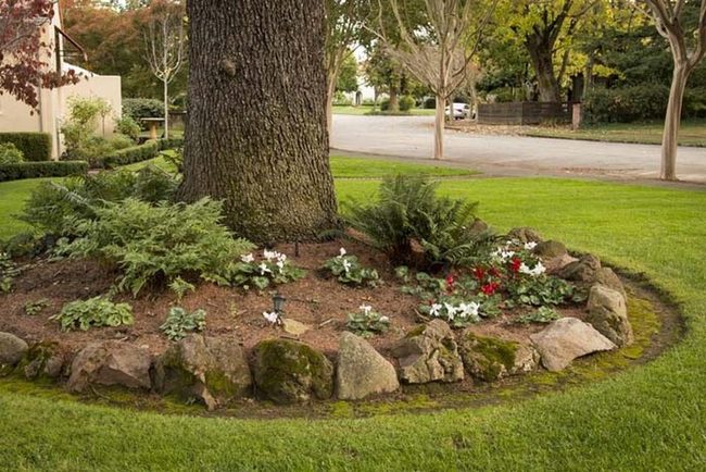 Brick Circle Tree Protection