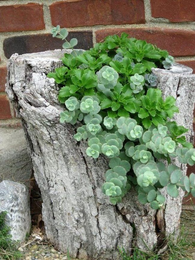 Natural Wood Planters For Gardens