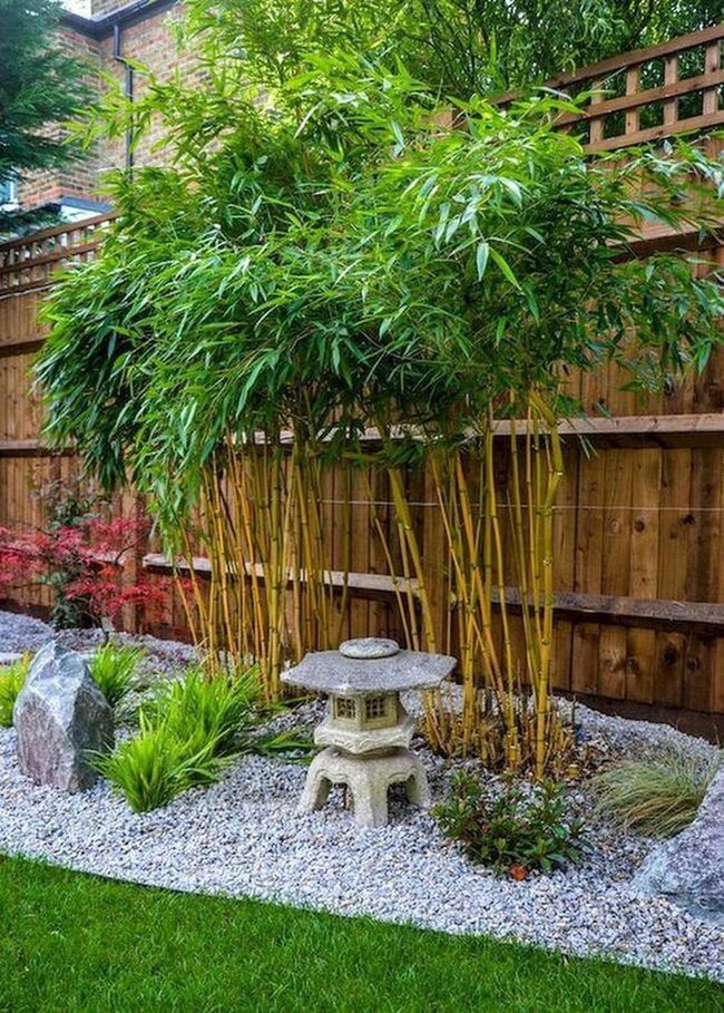 Stone Lantern Among Green Bamboo