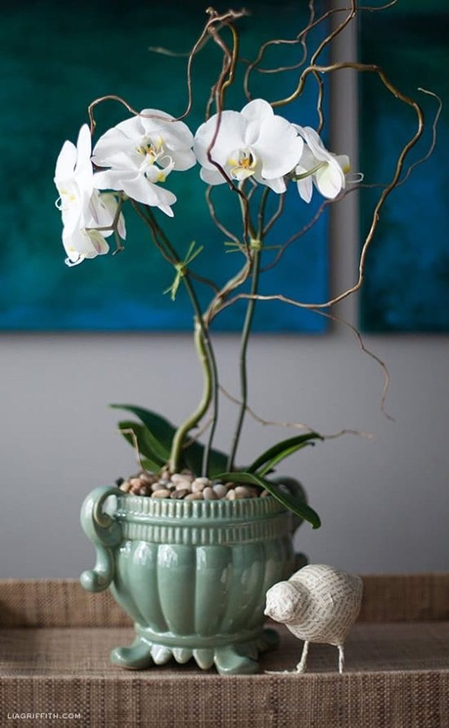 Orchids In Vintage Teapots