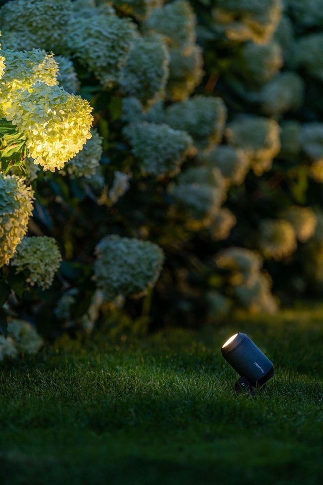 Moonlit Garden Shadows And Light