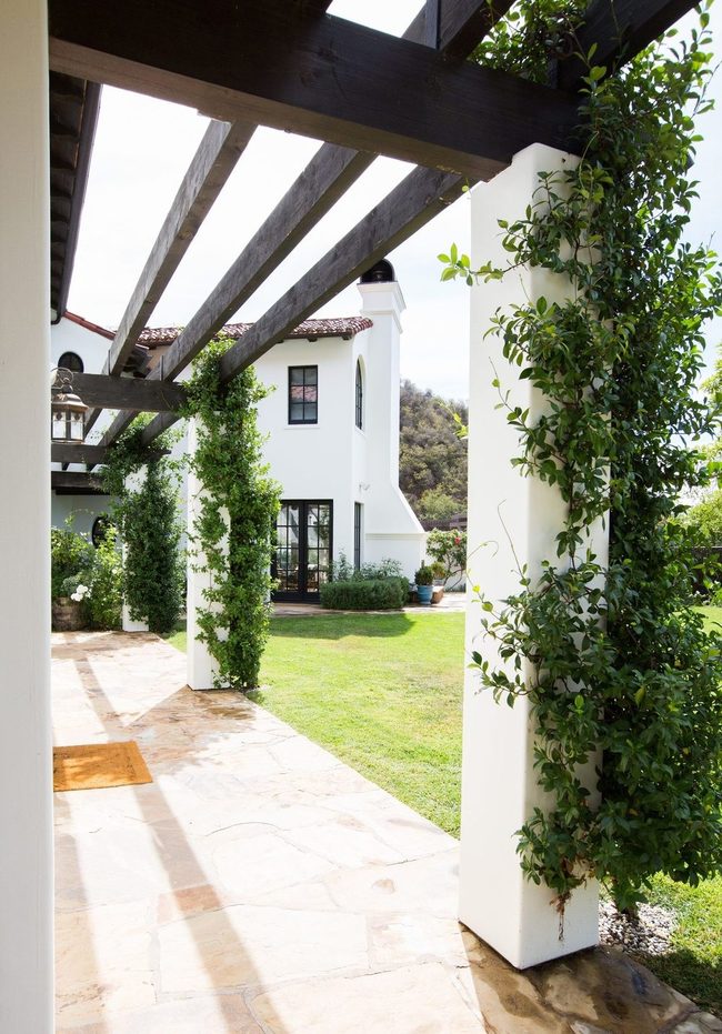 Living Vine Wall Privacy