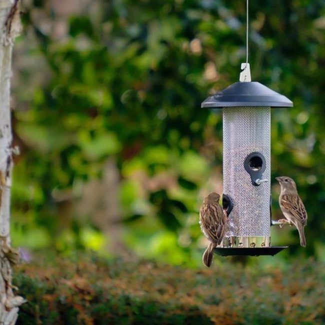 Metal Mesh Tube Bird Feeder