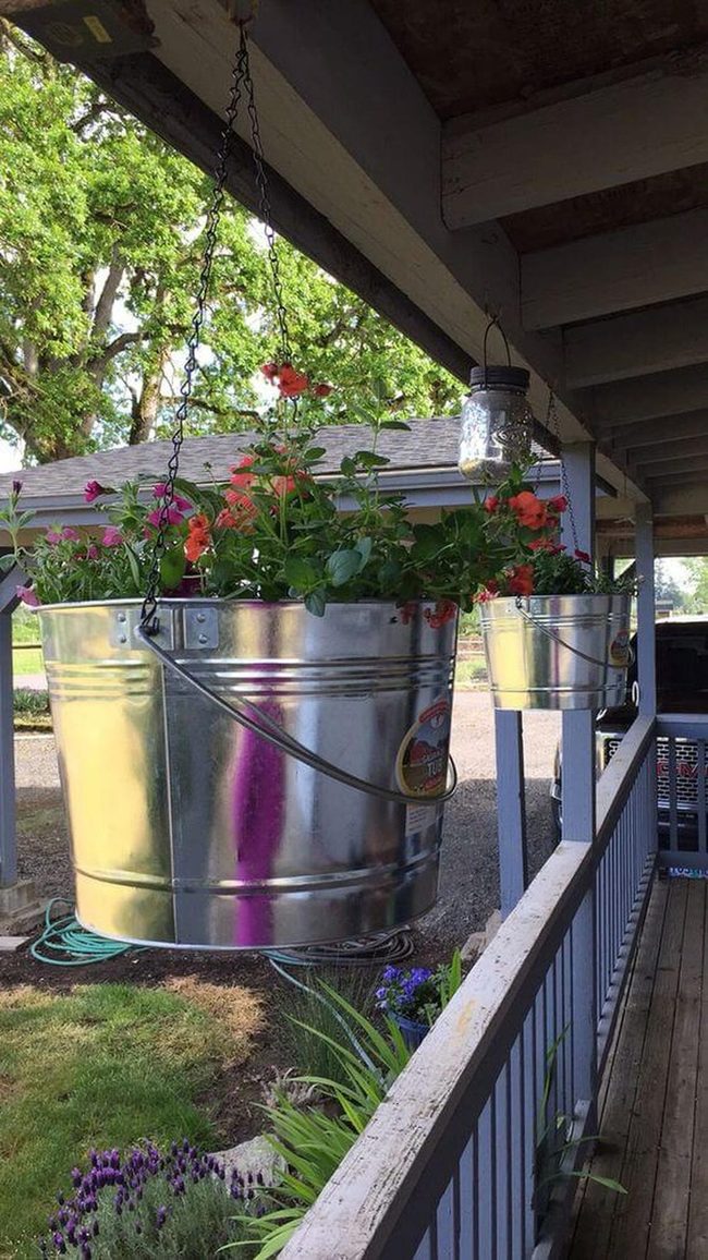 Galvanized Buckets Overflow With Blooms