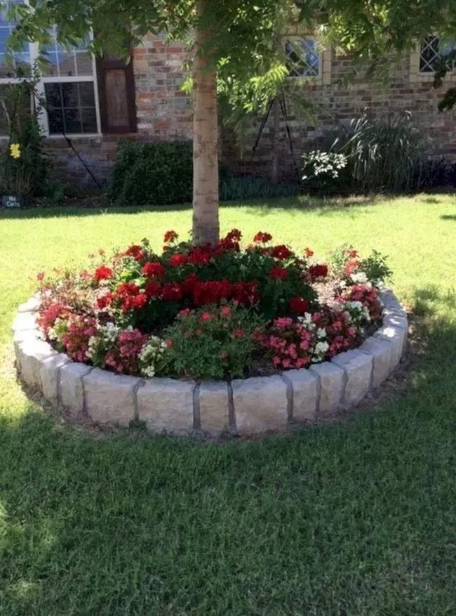 Crimson Spirals Frame Garden Tree