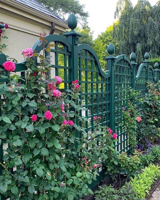 Pink Roses Against Dark Green Lattice