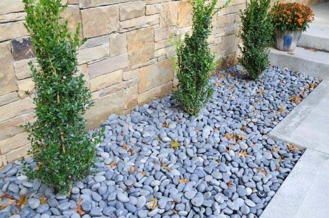 Green Shrubs Against Grey Stone