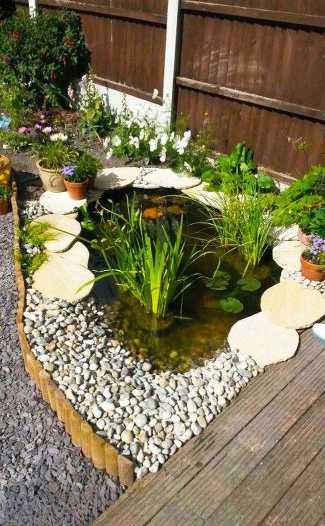 Gentle Water Lilies Garden Retreat