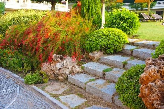 Stacked Stone Steps Through Garden