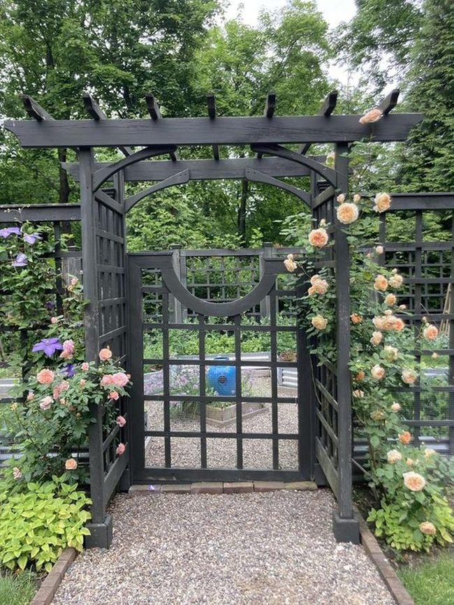 Peach Roses Frame Hidden Garden Gate