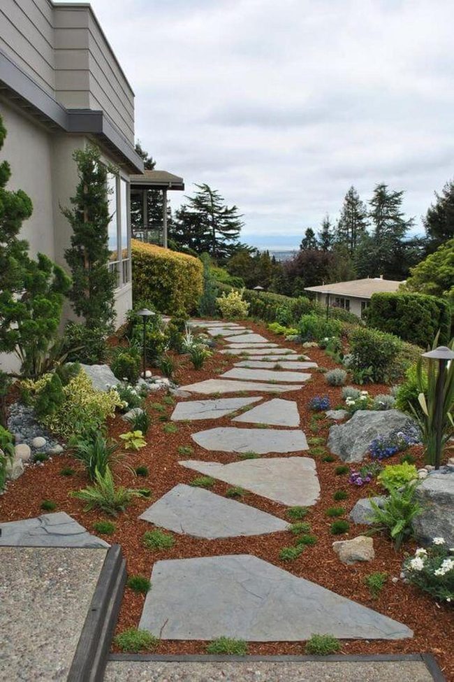 Stone Pathways Through Living Green