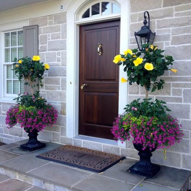 Tropical Blooms Bring Paradise Home