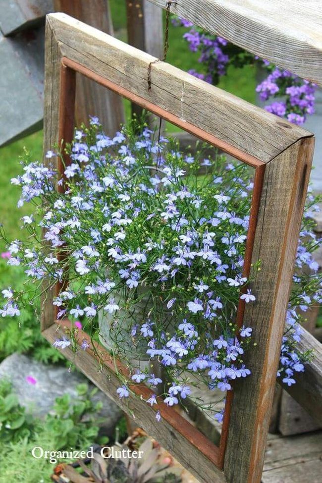 Blue Flowers Wooden Frame Garden