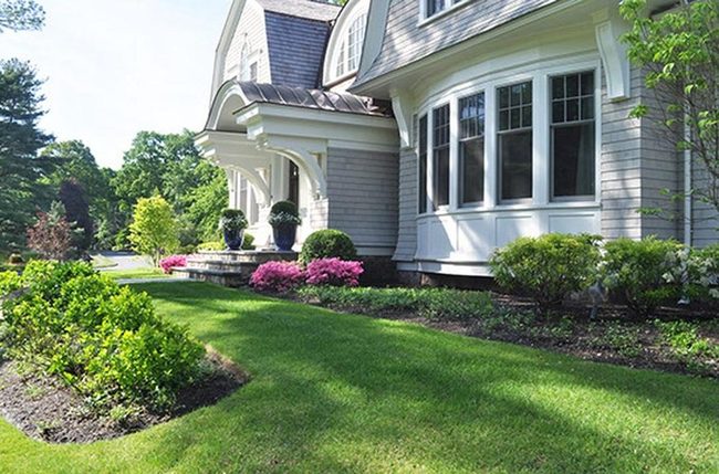 Dramatic Foliage Frames Stone Pathways