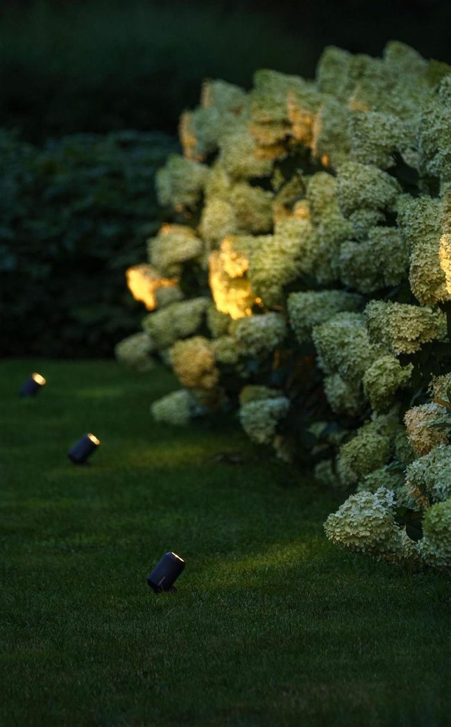 Light And Shadow Garden Theater