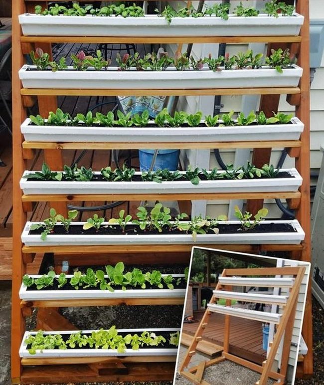 Stacked Wood Planters Fresh Vegetables