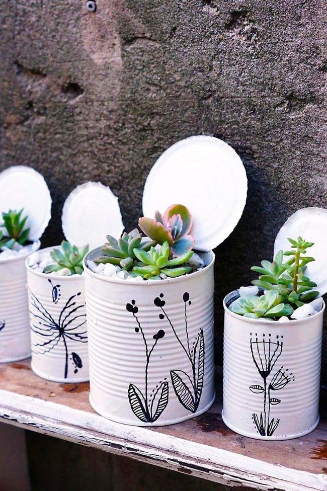Tin Cans Succulents Concrete Garden