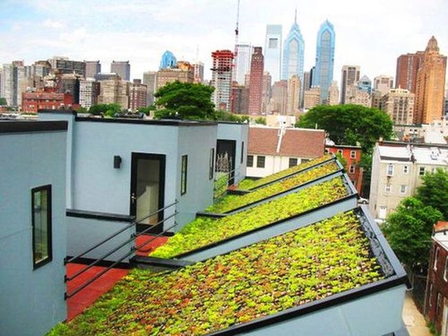 Cascading Green Roof Layers