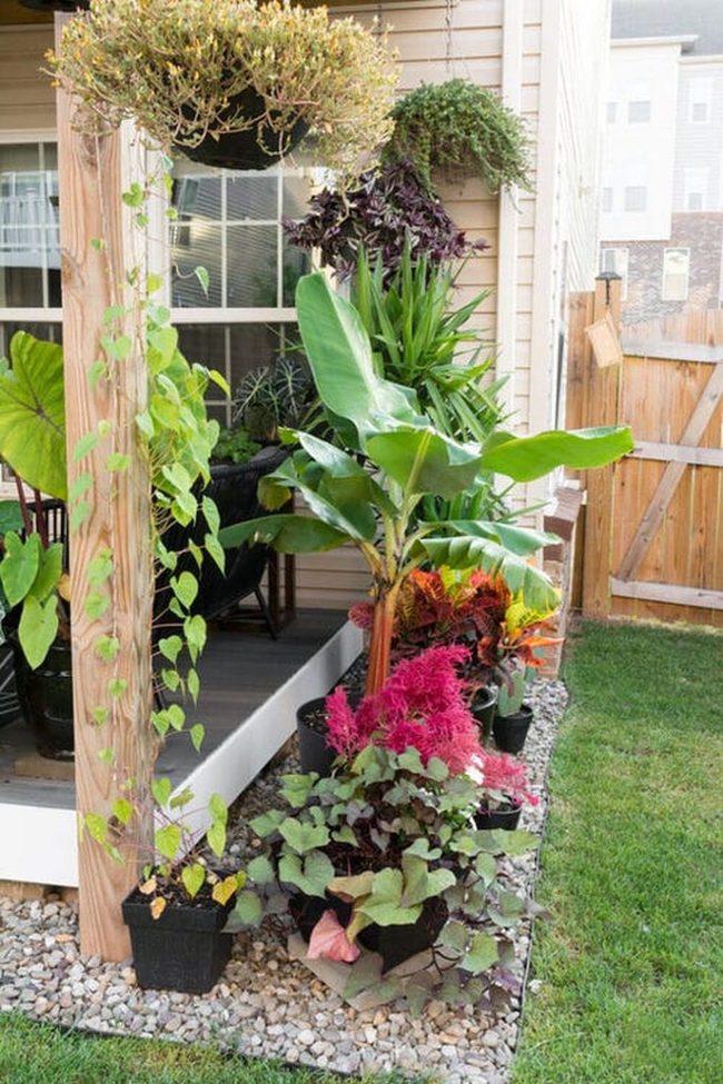 Lush Tropical Porch Entrance
