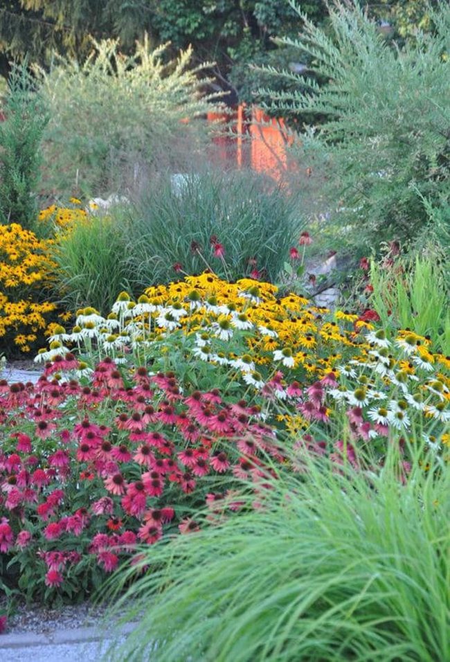 Blazing Blooms And Layered Green
